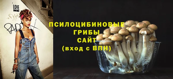 ПСИЛОЦИБИНОВЫЕ ГРИБЫ Осинники