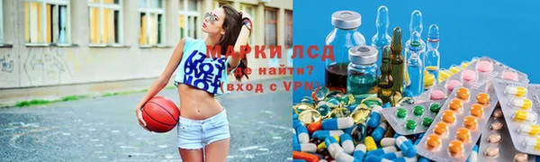 ПСИЛОЦИБИНОВЫЕ ГРИБЫ Осинники