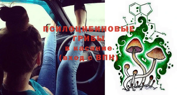 ПСИЛОЦИБИНОВЫЕ ГРИБЫ Осинники