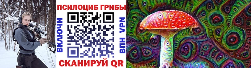 купить   MEGA как войти  Галлюциногенные грибы Cubensis  Кириллов 
